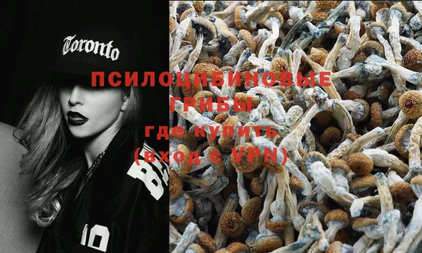 амф Абаза