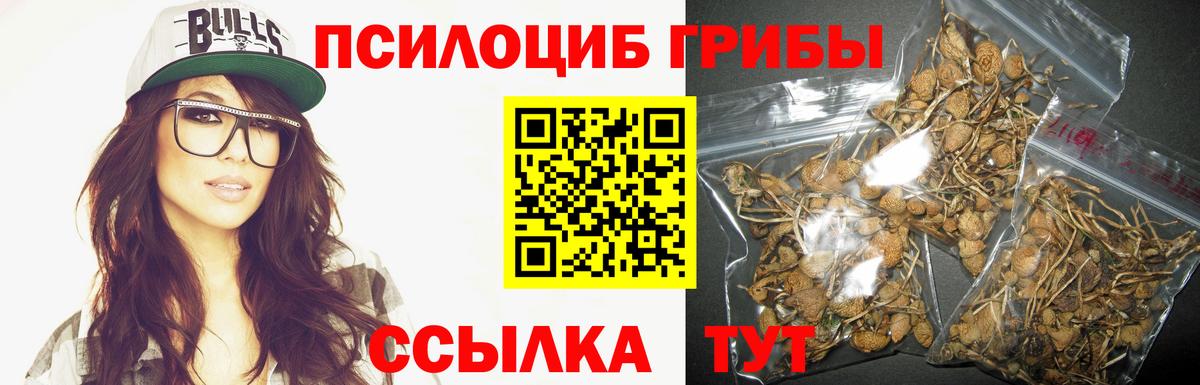 Псилоцибиновые грибы ЛСД Урус-Мартан